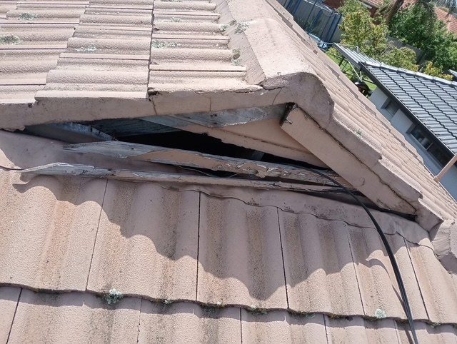 Before: ridge rebedding and repointing. Broken ridge capping rebedded and repointed.